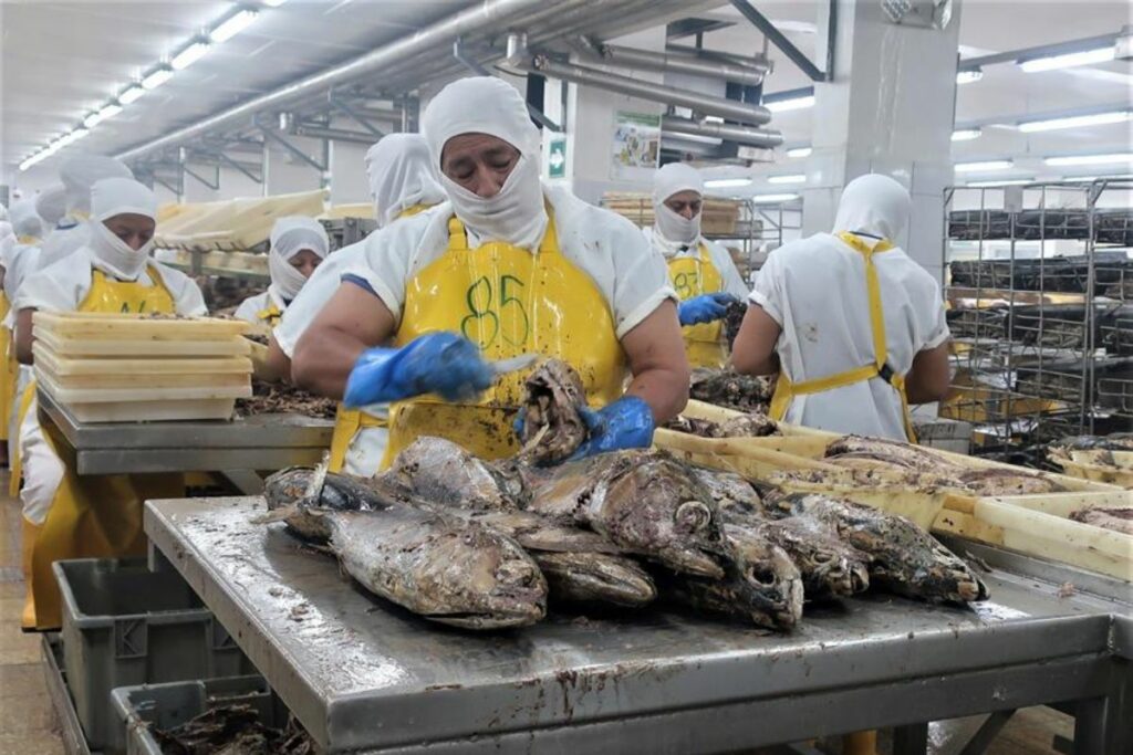 La exportación de pescado es un negocio en boga.