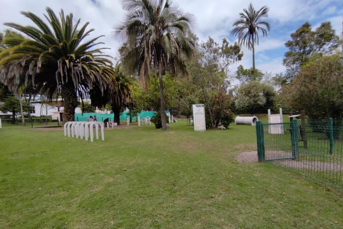 Mujer recibió un disparo en la cabeza durante asalto en parque del ...