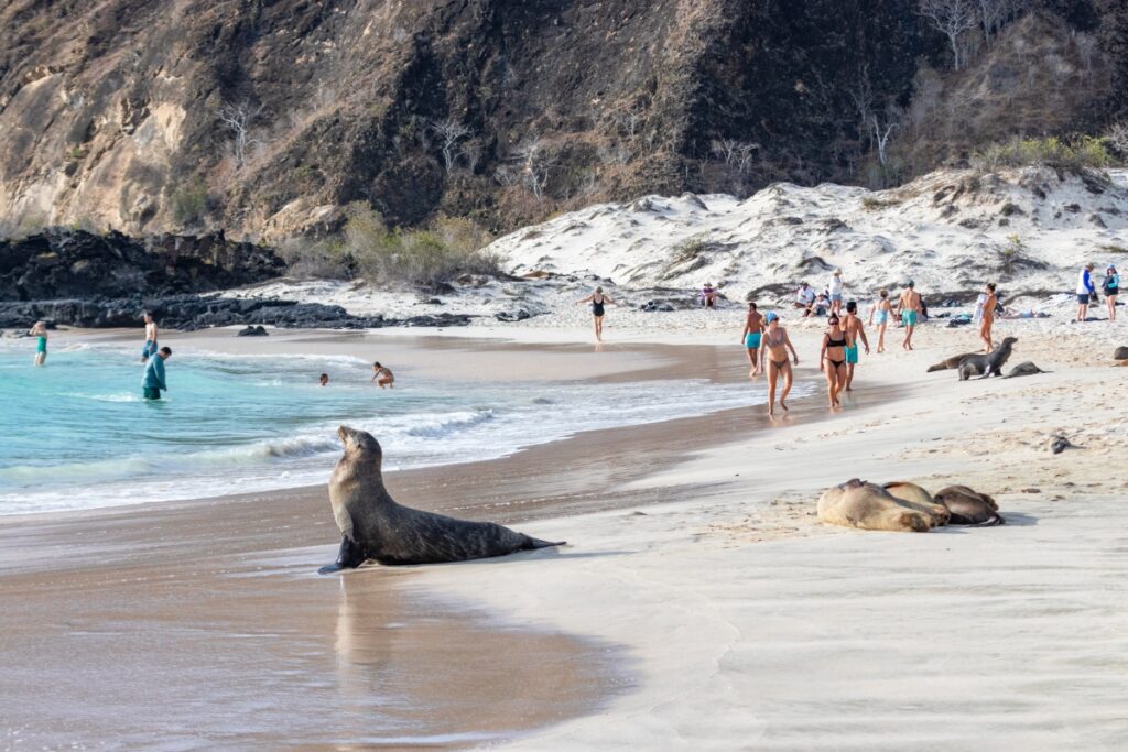 El Parque Nacional Galápagos informó sobre el número de visitantes a las islas.