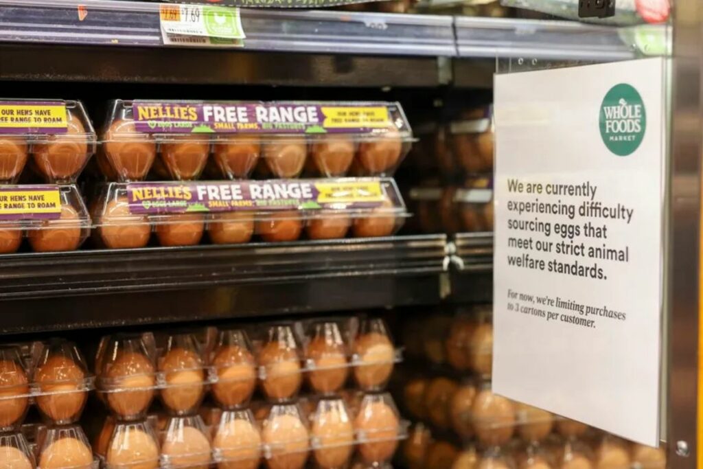 Vista del estante de los huevos en un supermercado de EE.UU. en el que se anuncia escasez del producto, en una fotografía de archivo.