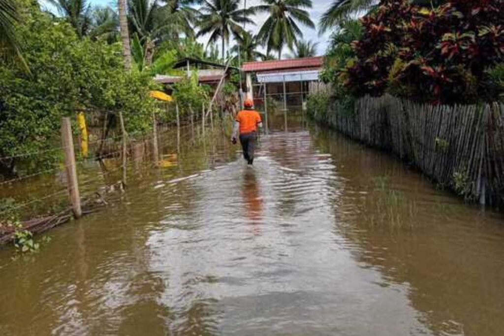 Plantaciones y cultivos, principalmente, de la Costa se han afectado por las inundaciones. Foto: Municipio de Portoviejo.