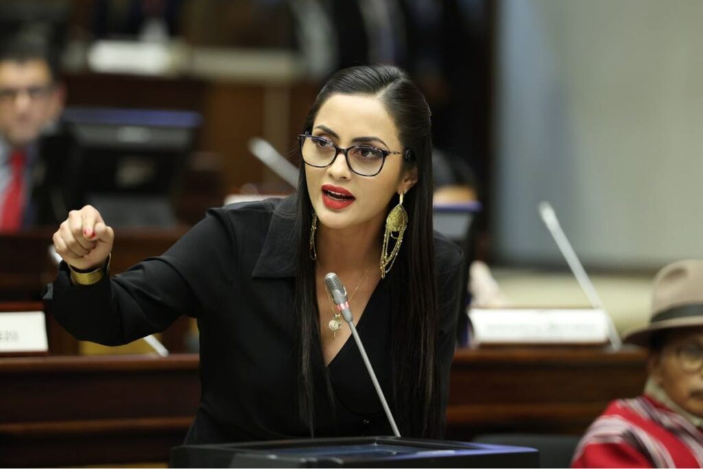 Viviana Veloz en una sesión del Pleno de la Asamblea Nacional.