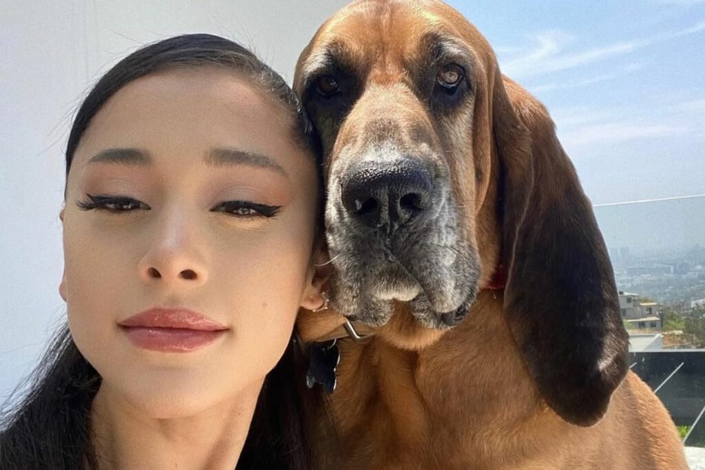 Ariana Grande tiene su propio centro de rescate animal. Foto: Instagram