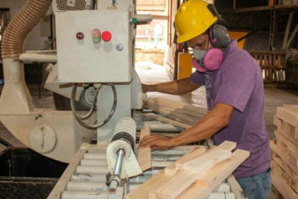 Las exportaciones de la industria forestal se concentran en tableros, productos de balsa, como bloques, paneles y kits, con y teca.