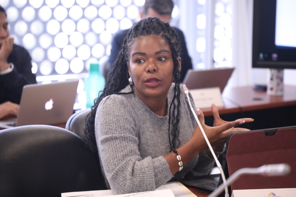 Paola Cabezas en una sesión de la Comisión de Régimen Económico.