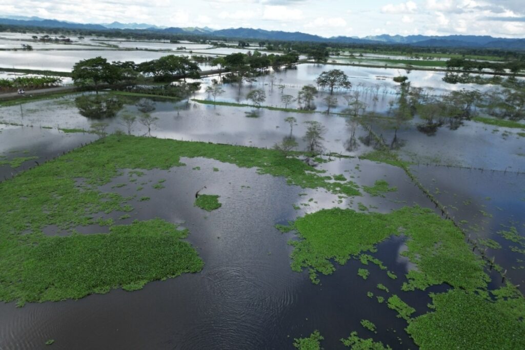 Las zonas bajas de Tosagua, cantón manabita, se llenaron de agua por el desbordamiento de dos ríos. Foto: Municipio de Tosagua