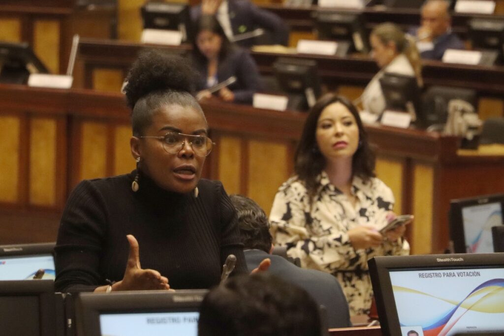 Paola Cabezas en una sesión del Pleno de la Asamblea Nacional.
