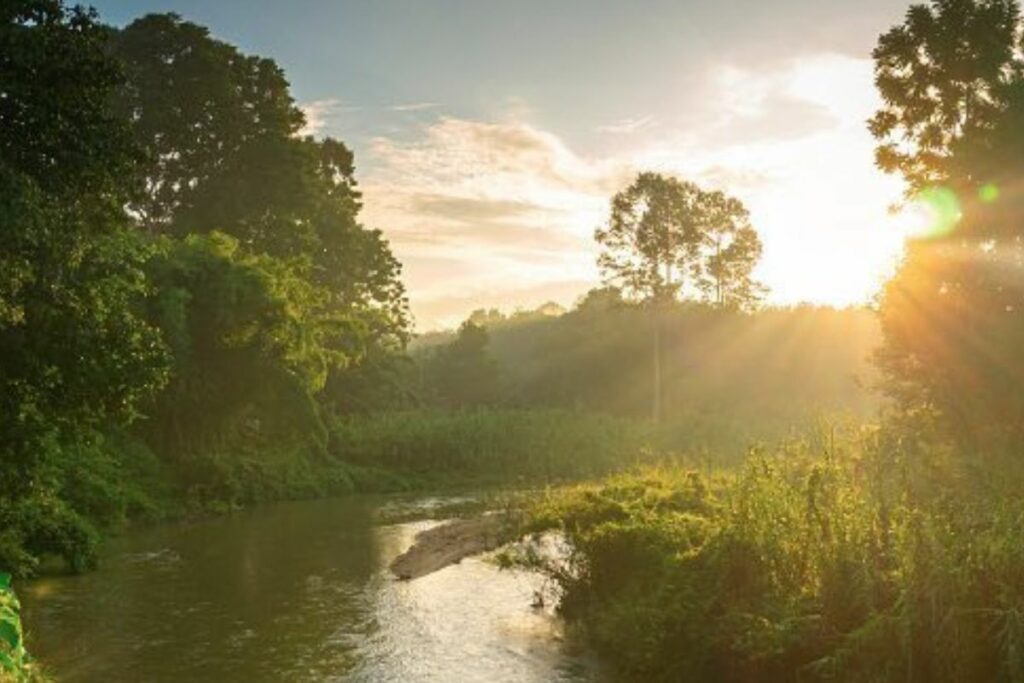 El Refugio de Vida Silvestre Manglares Estuario del Río Esmeraldas cumplió 15 años de creación en 2023. Foto: Instagram