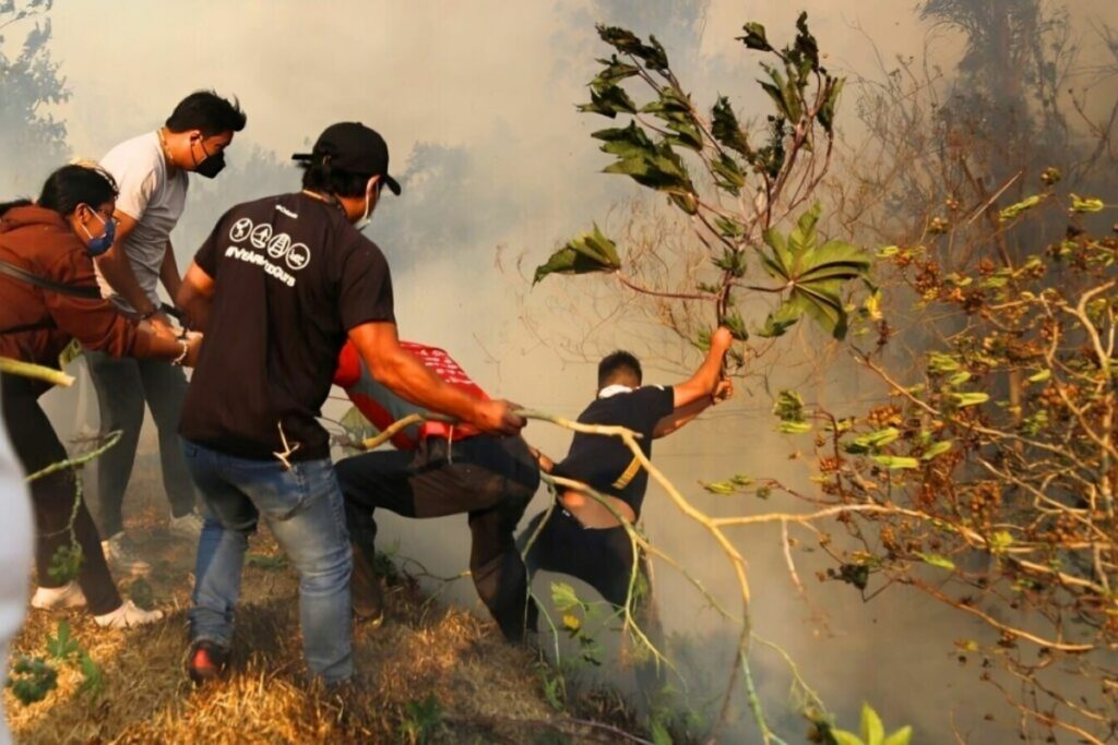 Los incendios forestales consumieron miles de hectáreas de Quito.