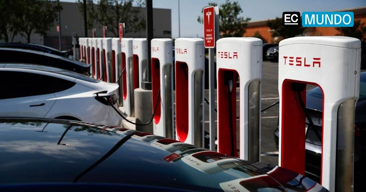 Las ventas de Tesla caen a la mitad en Europa, frente al auge de los ...