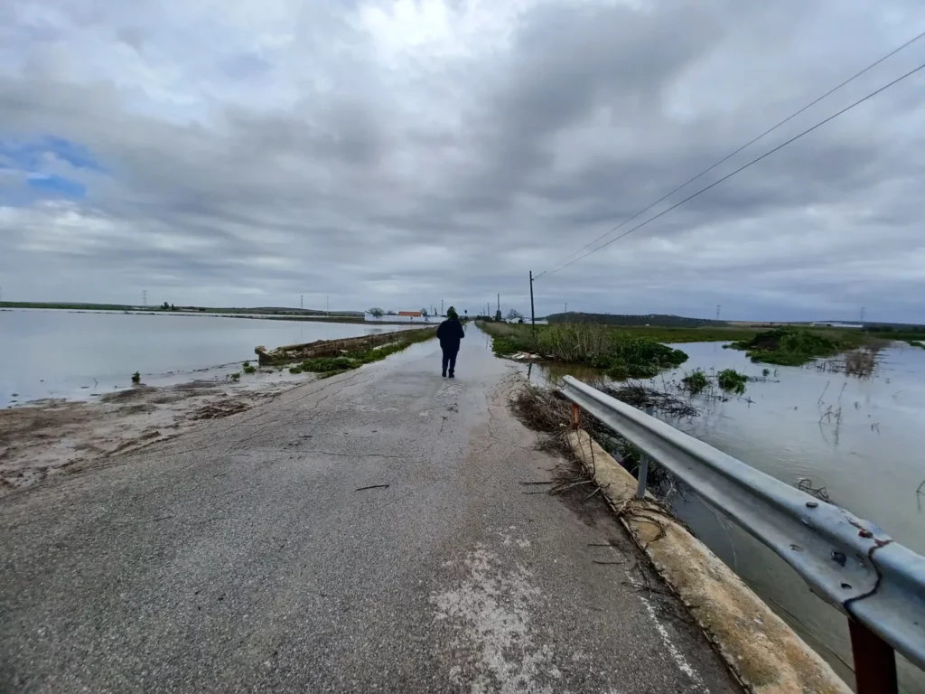 Zona inundada en el arroyo Salado en el Palmar de Troya (Sevilla).