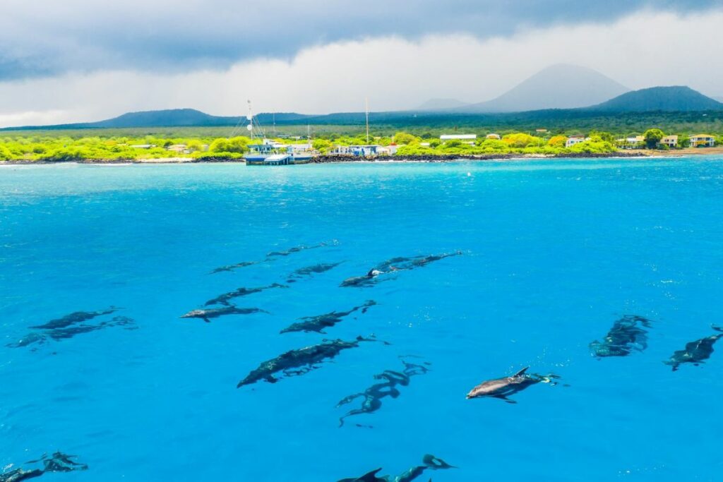 Un espectacular avistamiento se tuvo en las islas Galápagos.