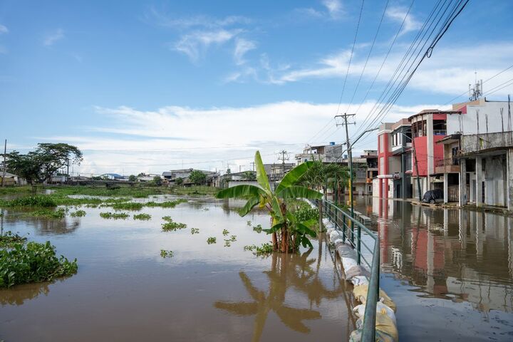 Una zona inundada de Jujan, cantón de la provincia del Guayas, en esta época invernal. Los cultivos quedan anegados. Foto: EFE