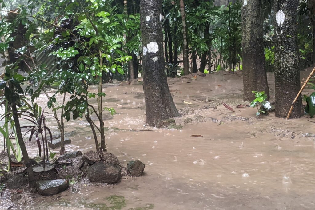 Riesgos señaló las provincias más afectadas por las lluvias en Ecuador.
