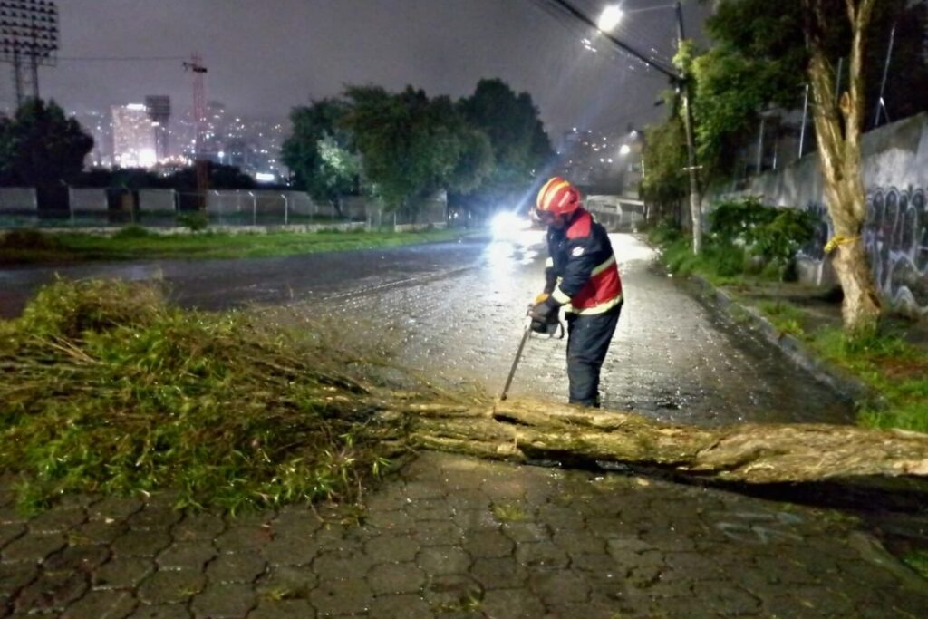 Las fuertes lluvias causaron la caída de un árbol en El Batán, en los exteriores del Estadio olímpico Atahualpa