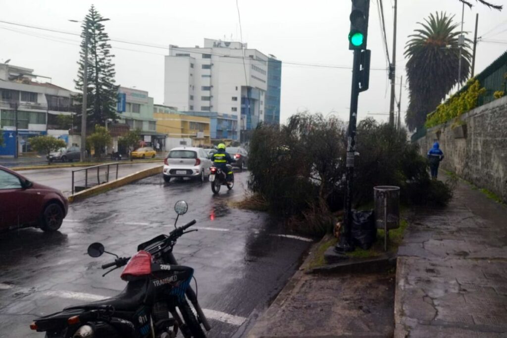 Un árbol bloquea la circulación en la av. América, en Quito.