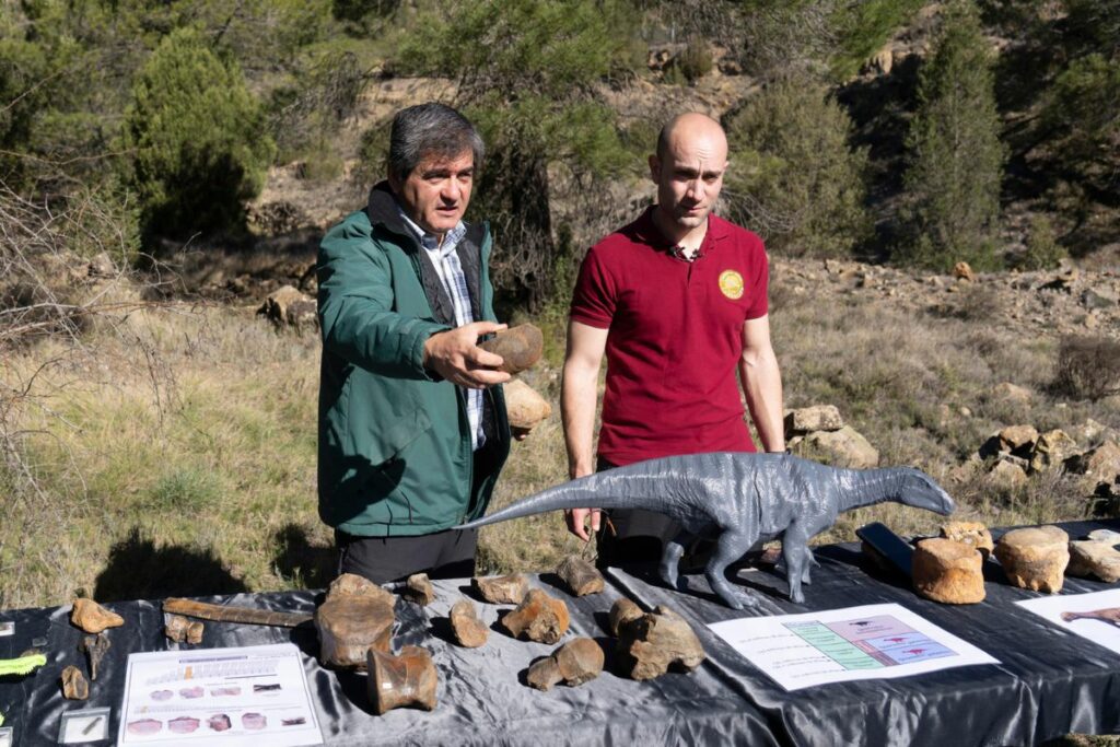 La Fundación Dinópolis presentó este martes la excavación que realiza en el yacimiento CM8 de Cabra de Mora (Teruel) con los fósiles del que está considerado como el espécimen más antiguo del dinosaurio Iguanodon del mundo.
