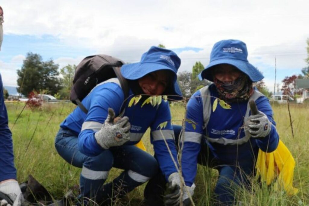 La reforestación de Quito tendrá una nueva jornada masiva este domingo 6 de abril.