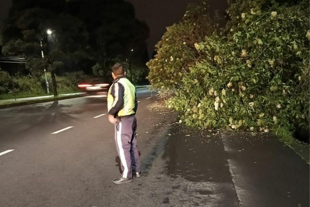 La caída de árboles obligó el cierre de la avenida Pérez Bustamante en sentido oriente-occidente.