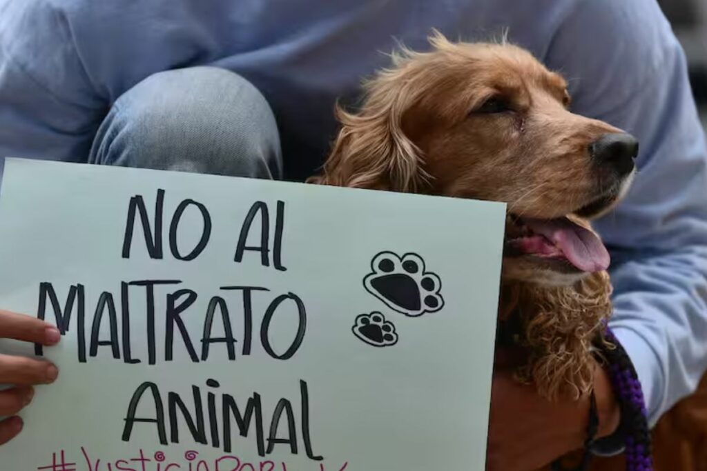 El plantón se realizará el lunes 7 de abril de 2025.