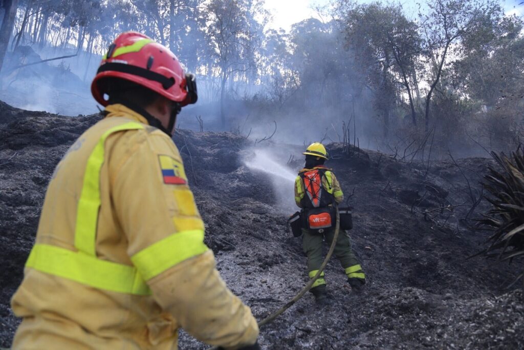 2024 fue uno de los años con más incendios forestales en Quito.
