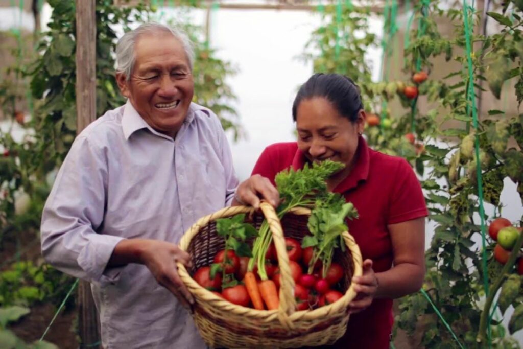 La nueva Ordenanza Metropolitana busca estimular la agricultura urbana en Quito.
