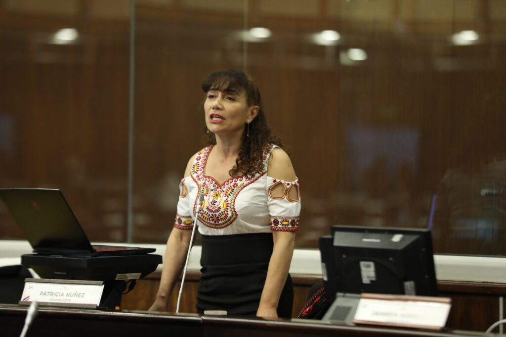 Patricia Núñez en una sesión de la Asamblea Nacional.