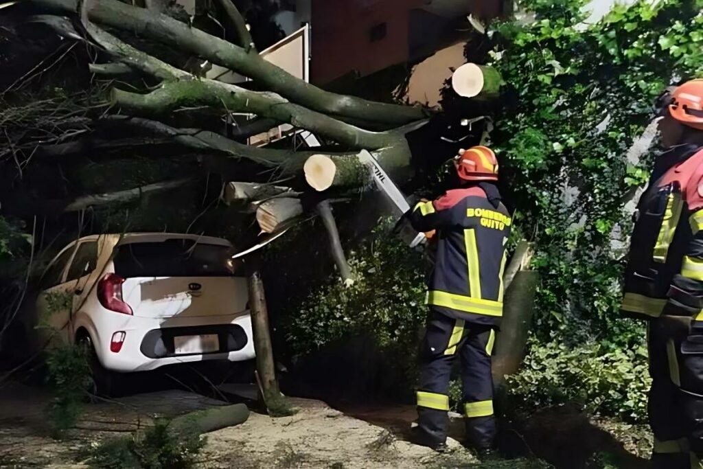 Un árbol se cayó sobre una vivienda en la calle González Suárez, en el norte de Quito