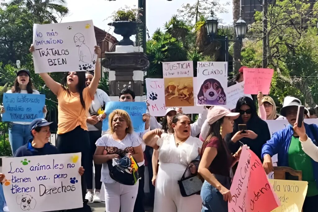 La presunta violación y muerte de la perrita Matilda generó una protesta frente al Municipio de Ambato.