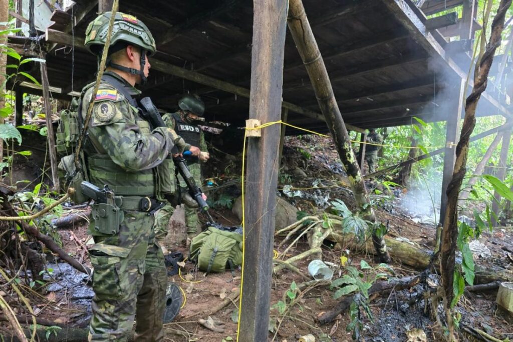 Las Fuerzas Armadas hallaron laboratorios ilegales en la frontera norte.