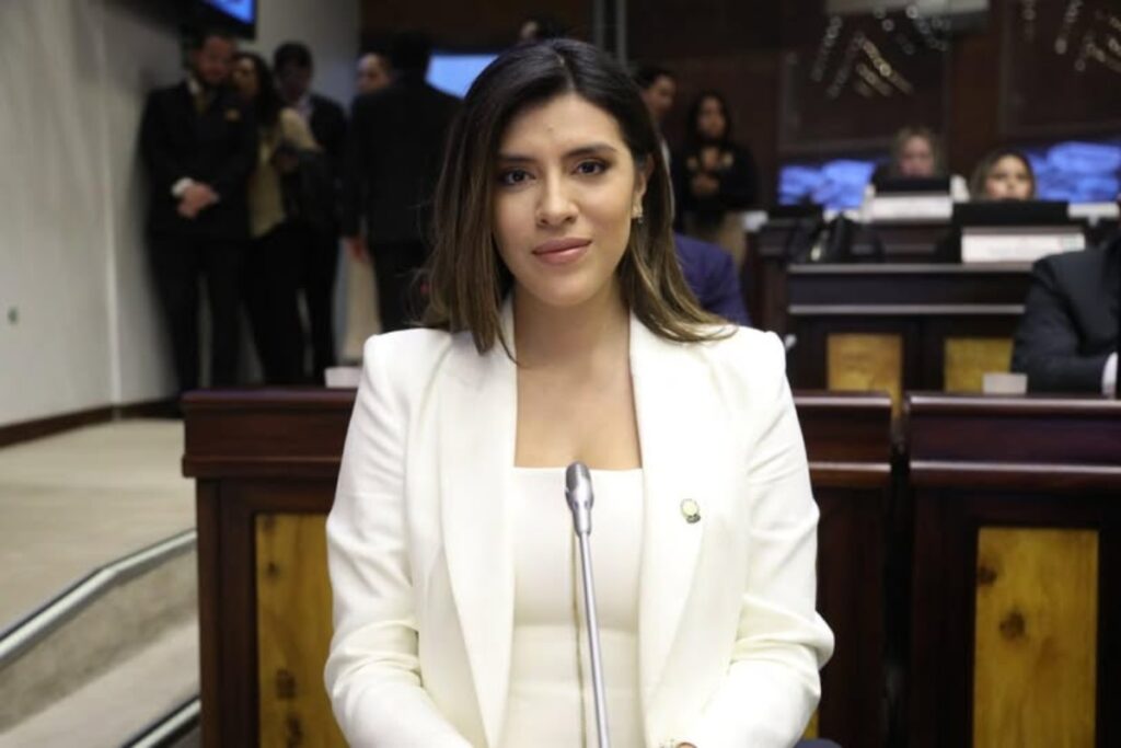 ADN también impondrá su mayoría ante el correísmo en la integración de las comisiones de la Asamblea.
