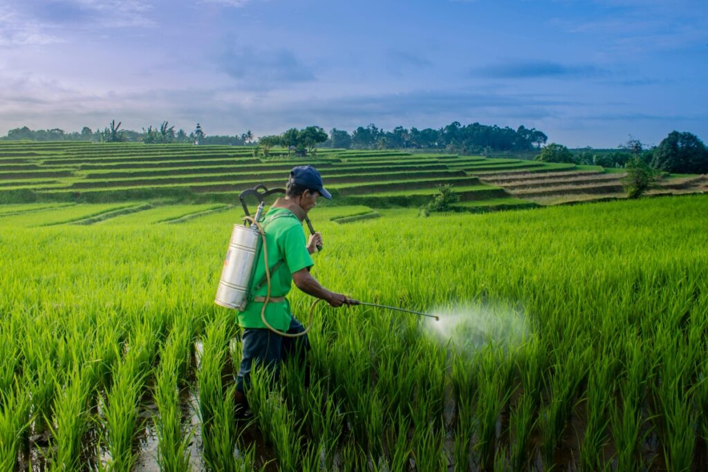 Imagen representativa del uso de clorpirifós, un insecticida ampliamente usado en agricultura para combatir plagas. Foto: Pexels