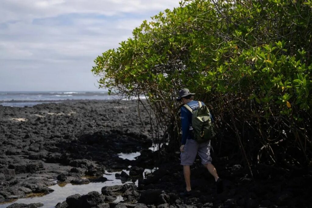 Imagen de archivo de las islas Galápagos.