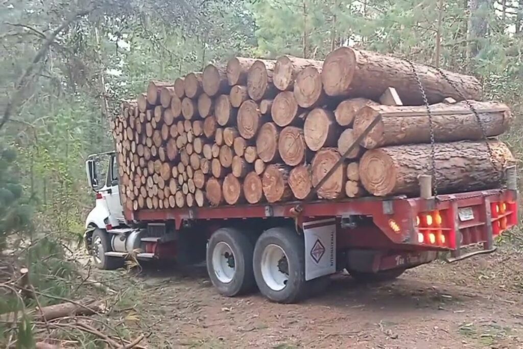Imagen referencial: un camión que llevaba madera, aparentemente sin permisos de operación, atropelló a un comunero de Taisha.