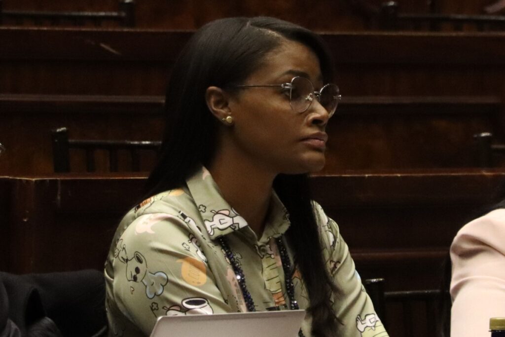 Diana Salazar en una comparecencia en la Asamblea Nacional.
