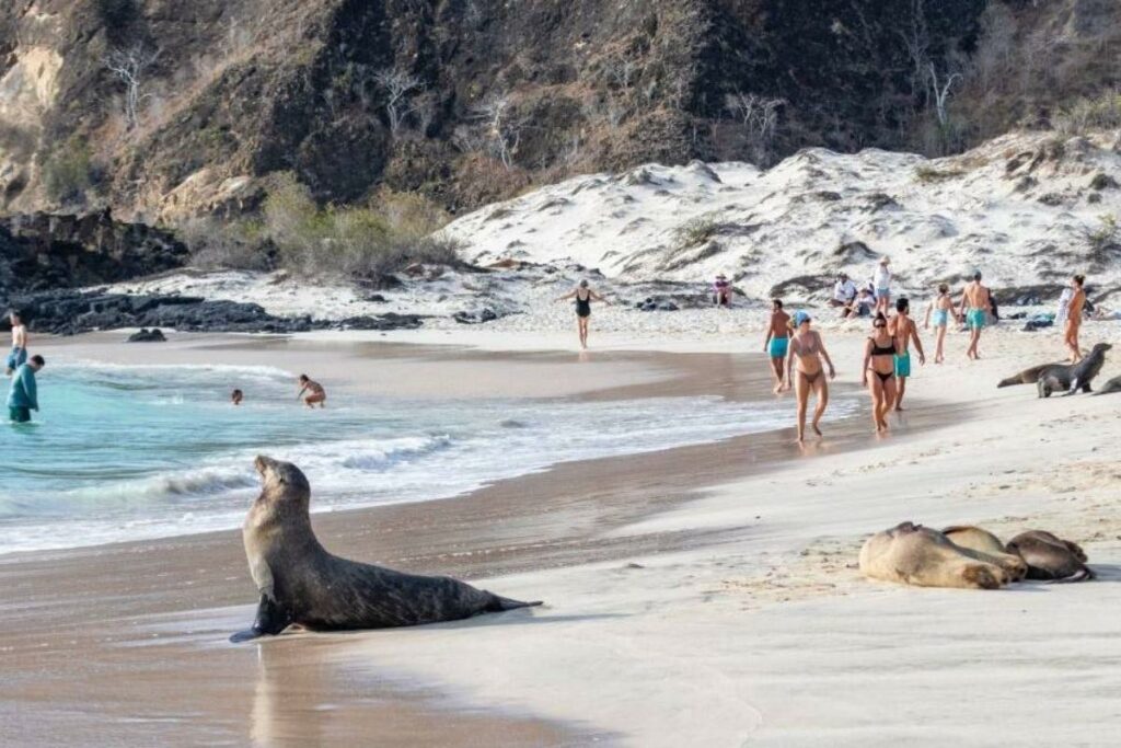 El registro en la nueva plataforma aplica para visitantes nacionales y locales