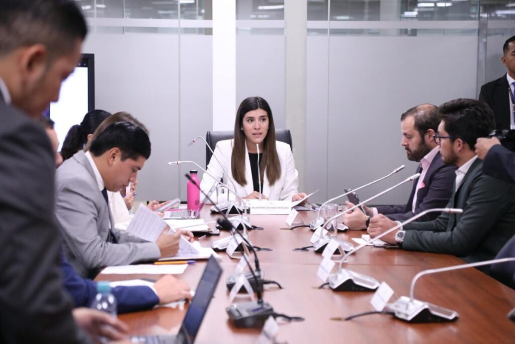 Valentina Centeno explicó las modificaciones al proyecto de ley urgente contra la economía criminal en el informe para primer debate.