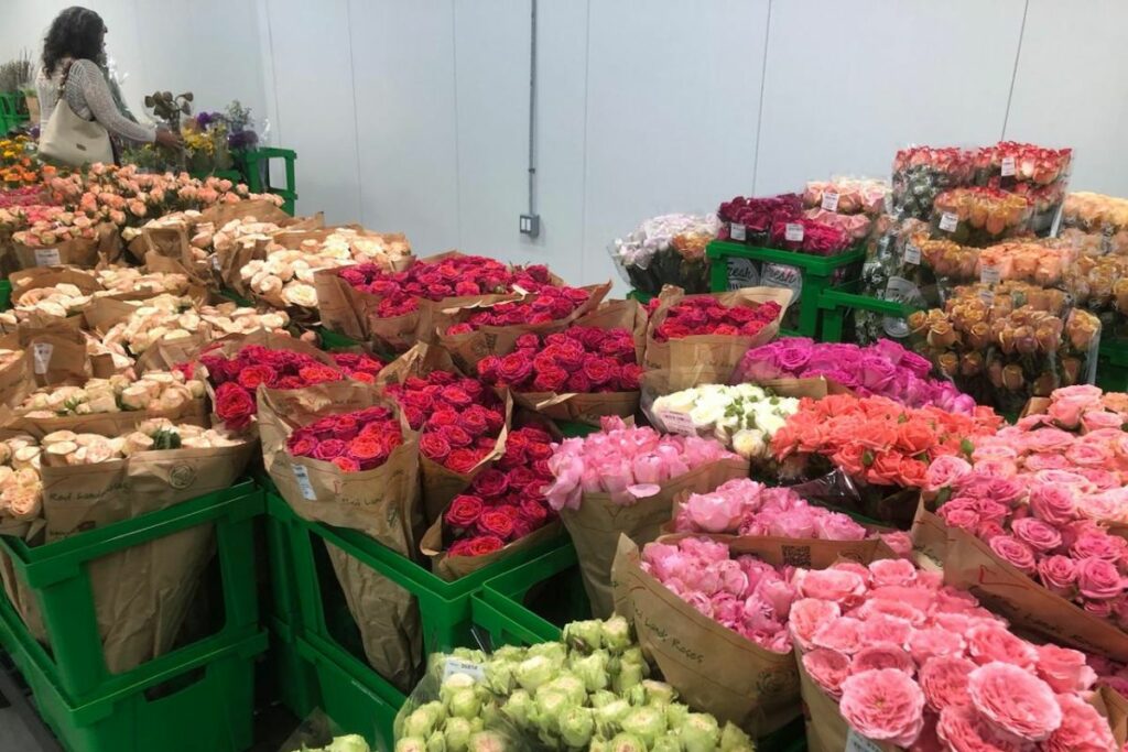 Jet Fresh Flowers Distributors tiene una variedad de 40 flores que cultiva en Ecuador y distribuye en EE. UU.