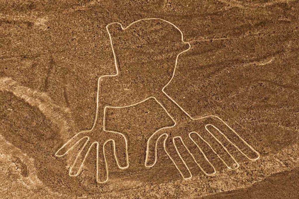 Las imponentes formas de las Líneas de Nasca, trazadas con asombrosa precisión, fascinan a todo aquel que las contempla desde el cielo.
