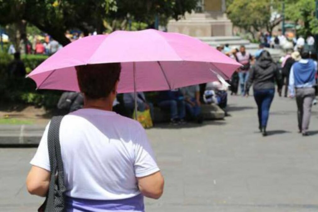Usa paraguas para protegerte de la lluvia y de los rayos solares.