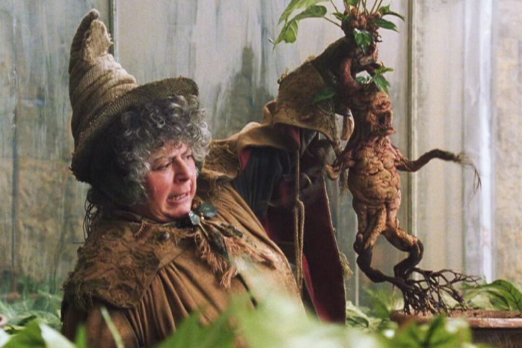 Harry Potter and the Chamber of Secrets (2002)