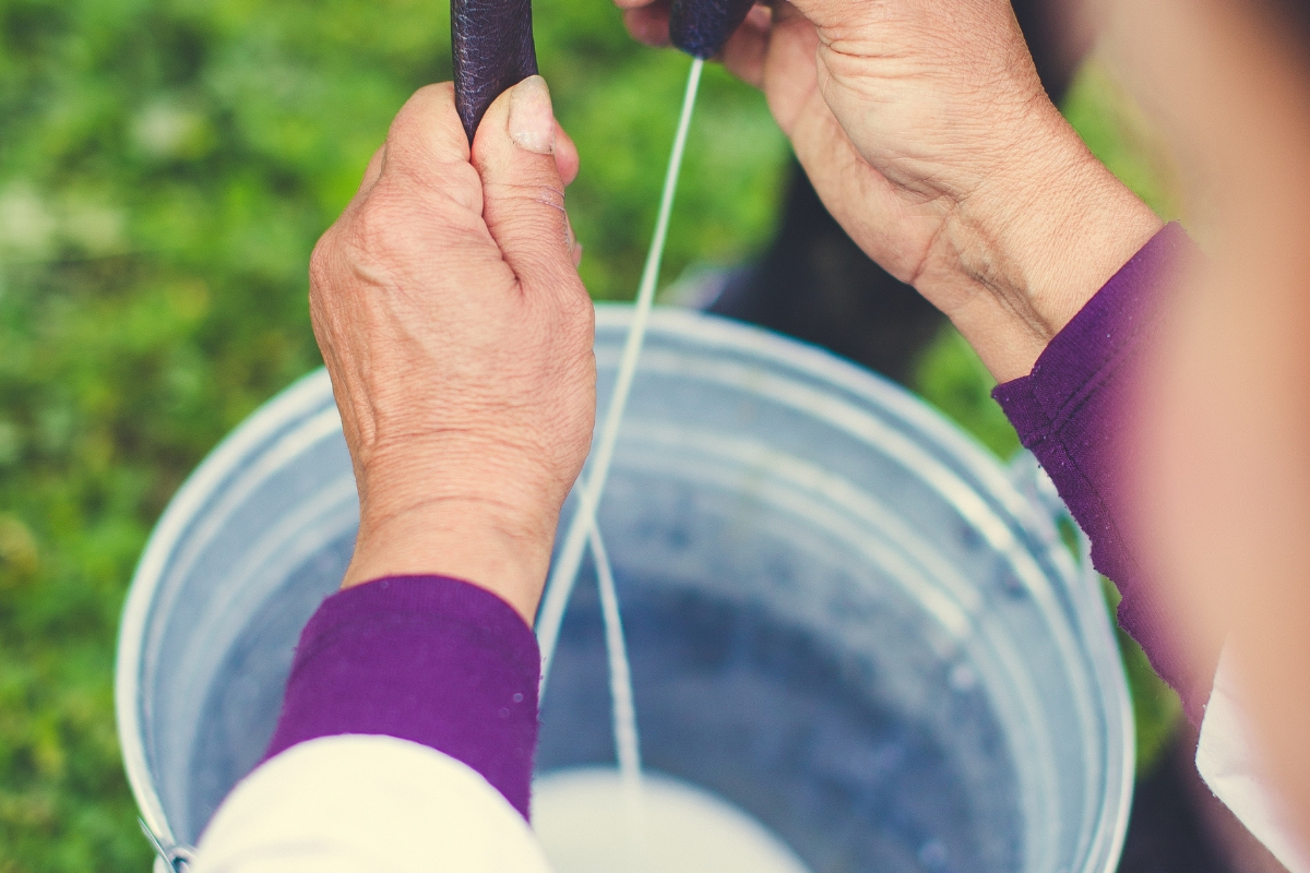 Este será el precio mínimo de sustentación del litro de leche cruda desde junio