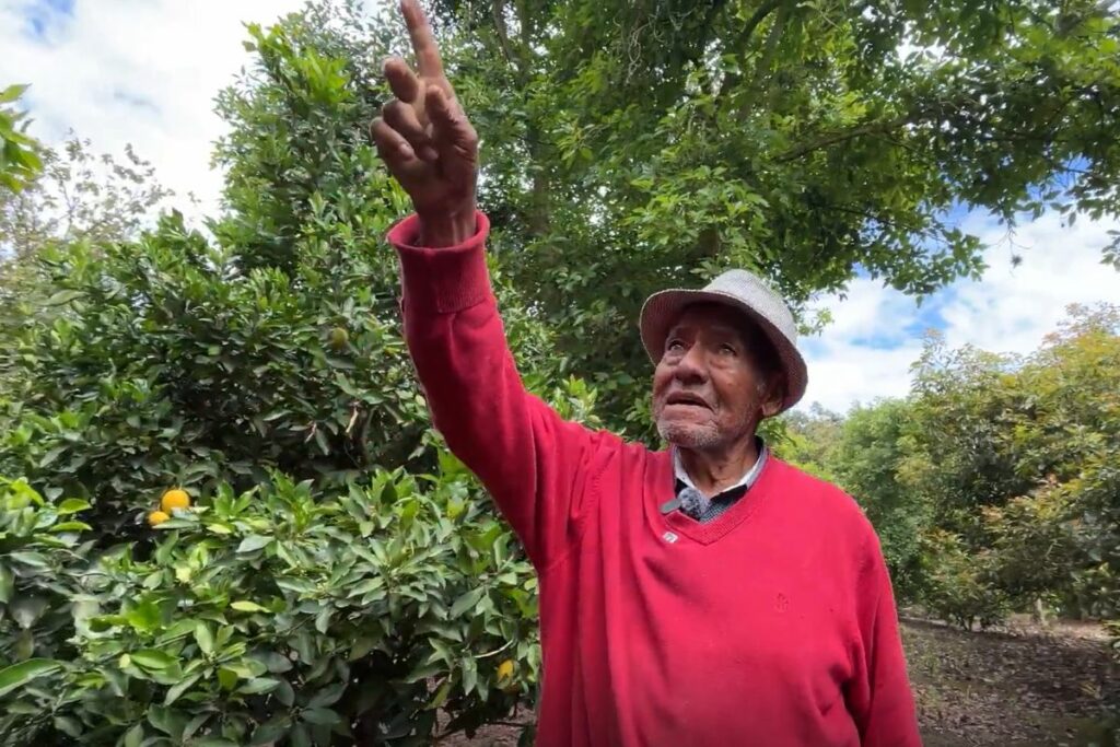 Eloy Suasnavas es uno de los productores de aguacate y chirimoyas, dos frutos emblemáticos de la agricultura de Guayllabamba.