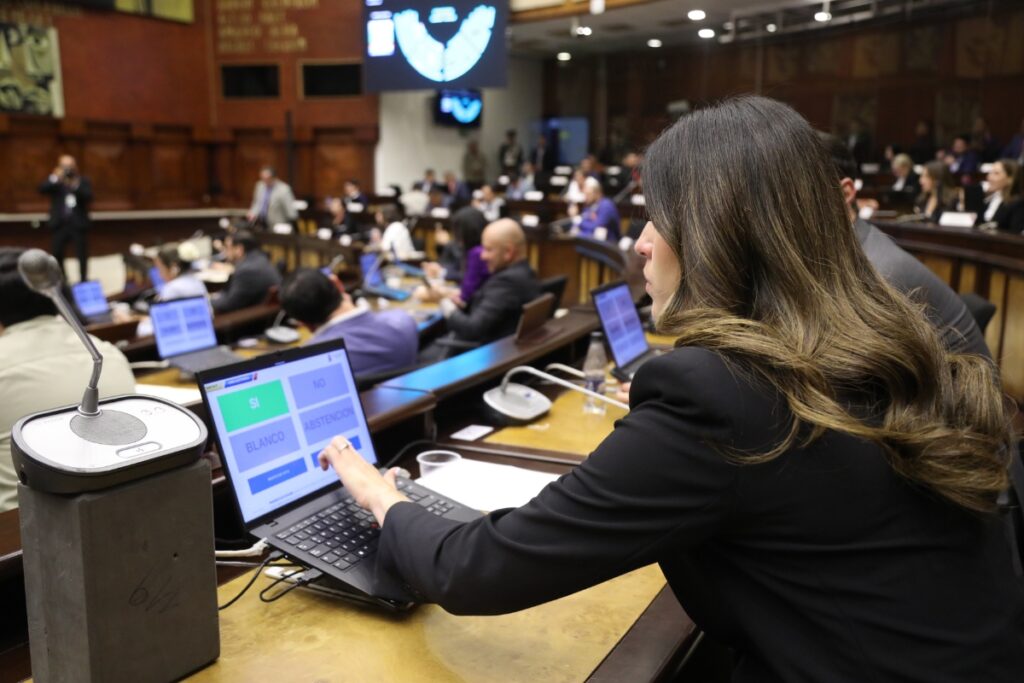 Legisladora en una votación del Pleno de la Asamblea Nacional.