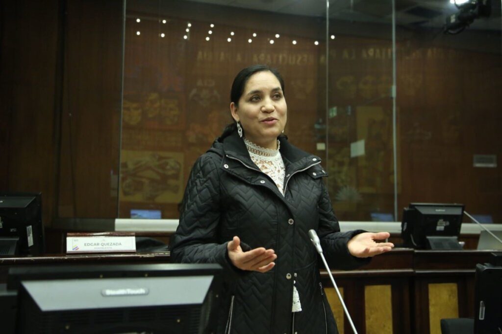 El CAL calificó una queja contra la asambleísta correísta, Mireya Pazmiño.