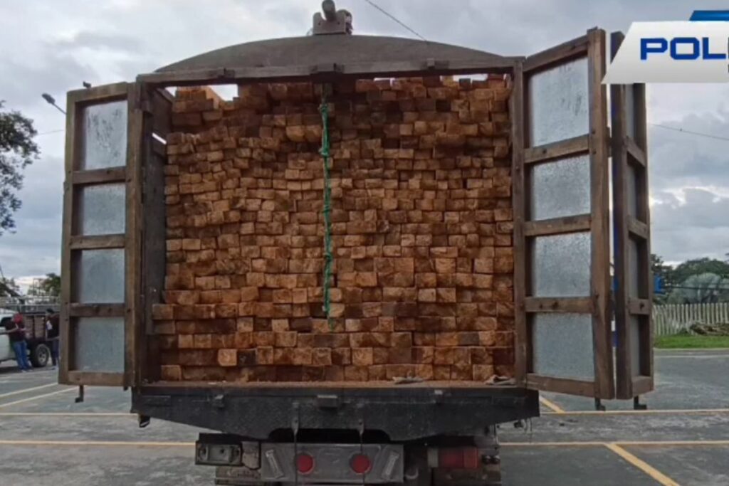 La cocaína decomisada estaba oculta en un camión que transportaba madera.