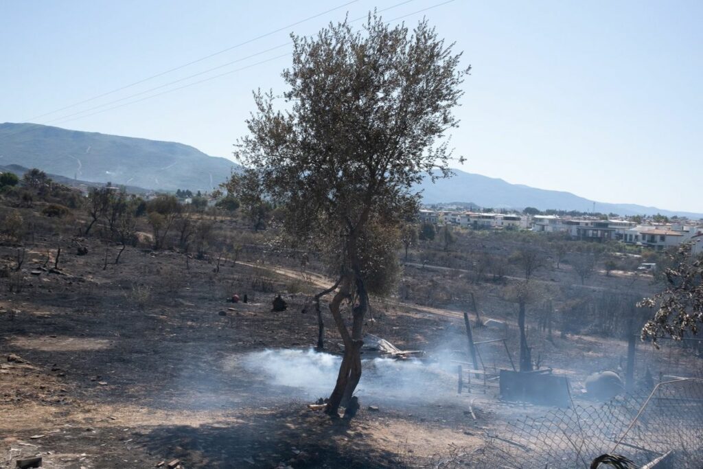 Uno de los incendios en Turquía este lunes 30 de junio.