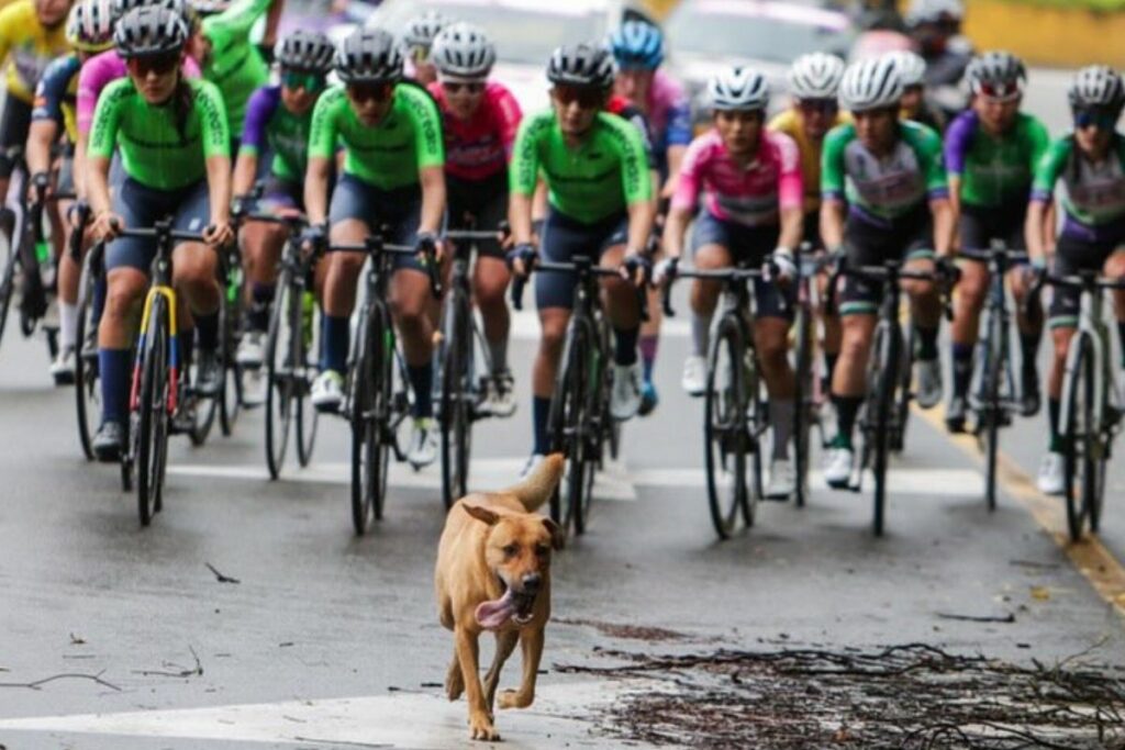 Pogacan comandando el pelotón de ciclistas en la Vuelta a Colombia Femenina 2025.