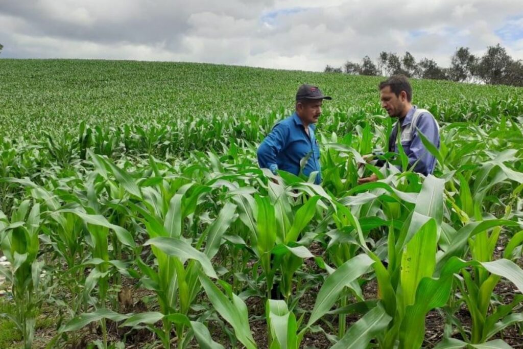 El comercio, la agricultura y la manufactura son los principales sectores que impulsaron la economía de Ecuador los primeros meses del 2025.