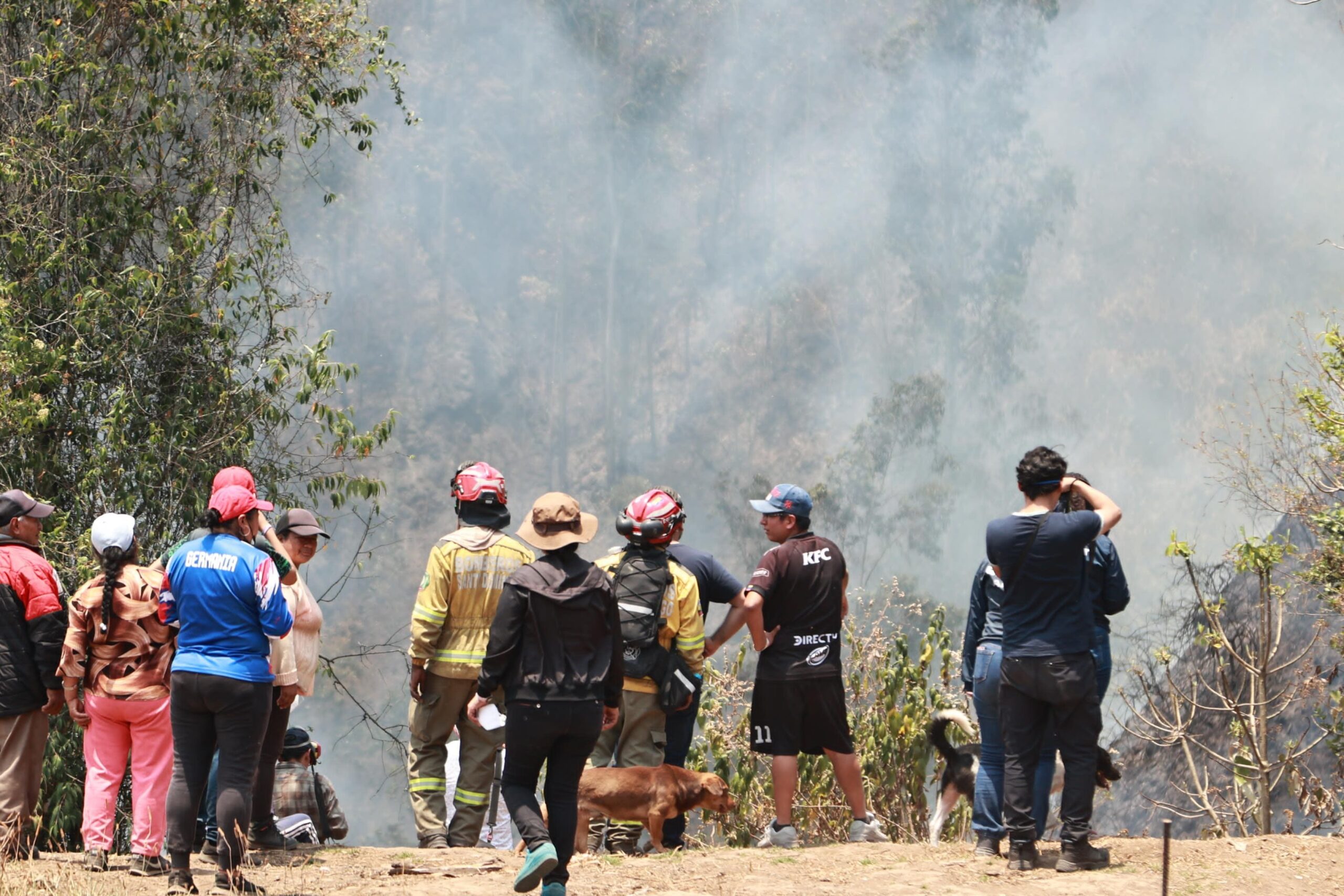 Imagen 7